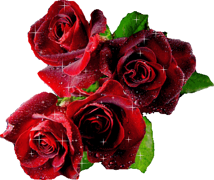 La rosa